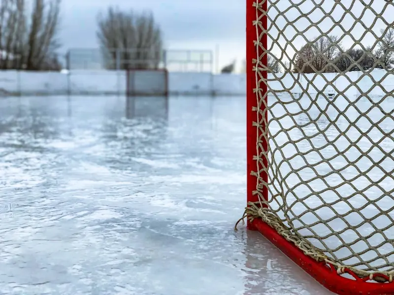 Hockey Sverige