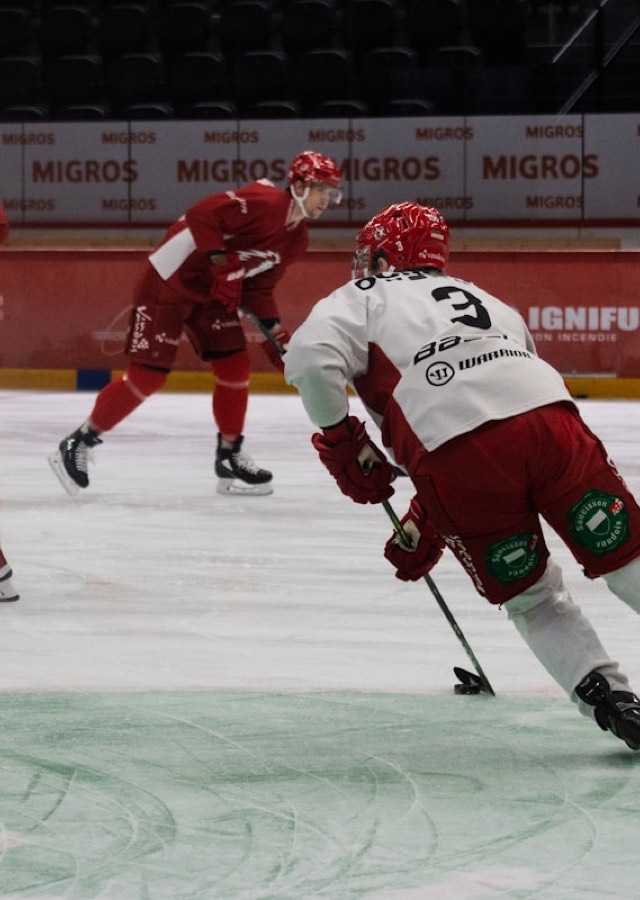 Hockey live via IPTV – SHL, NHL och VM